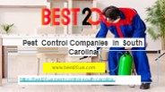 Pest Control Companies in South Carolina