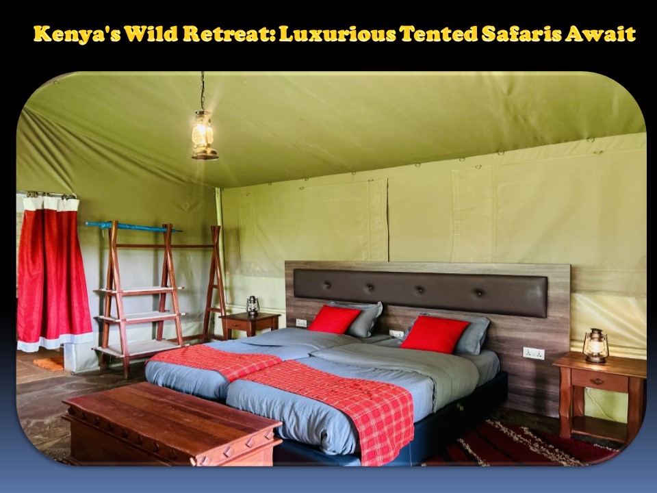Kenya's Wild Retreat: Luxurious Tented Safaris Await