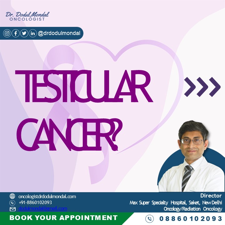 Exploring Testicular Cancer