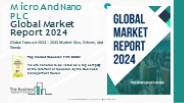 Micro And Nano PLC Market