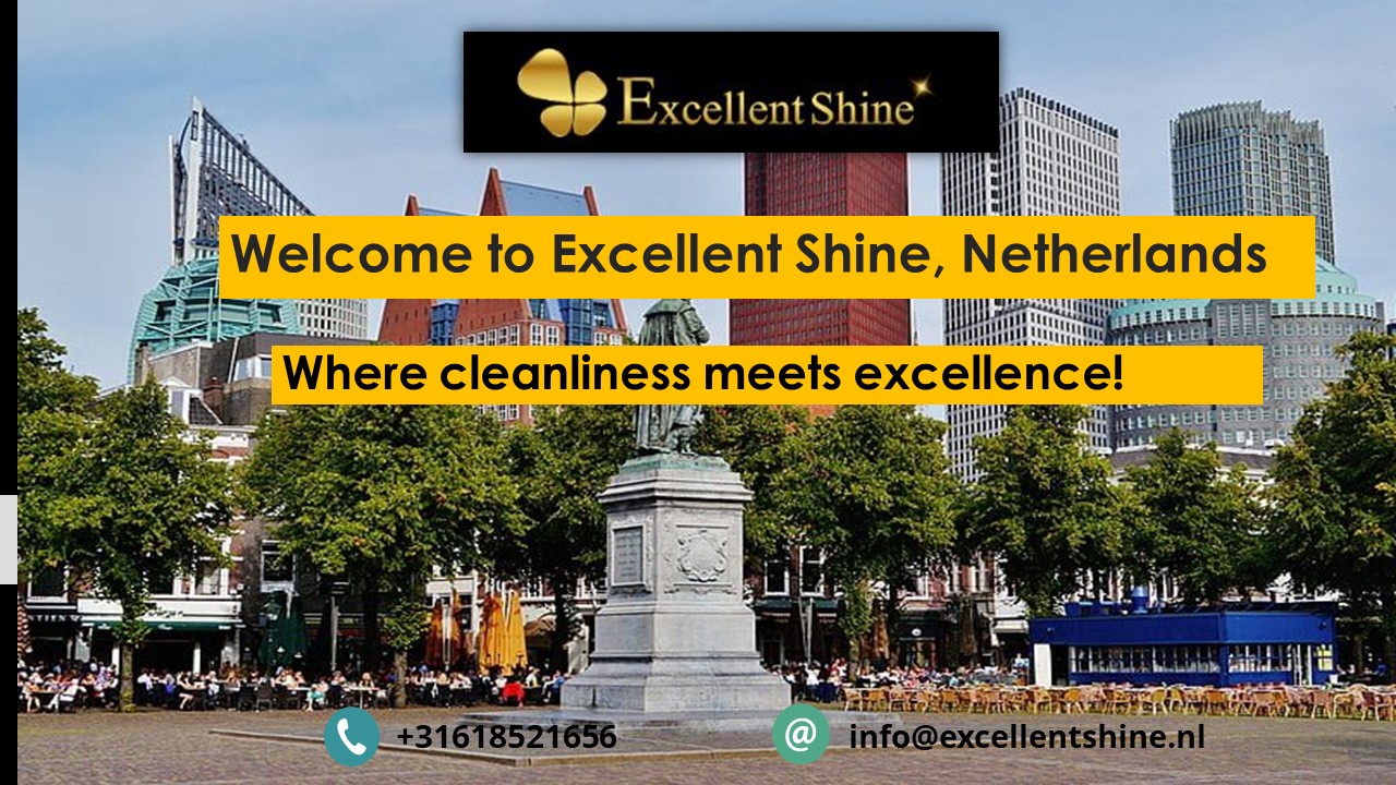 Professional Cleaning Den Haag