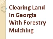 Clearing Land In Georgia With Forestry Mulching