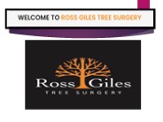 Tree Surgeon Services In Dorset (1)