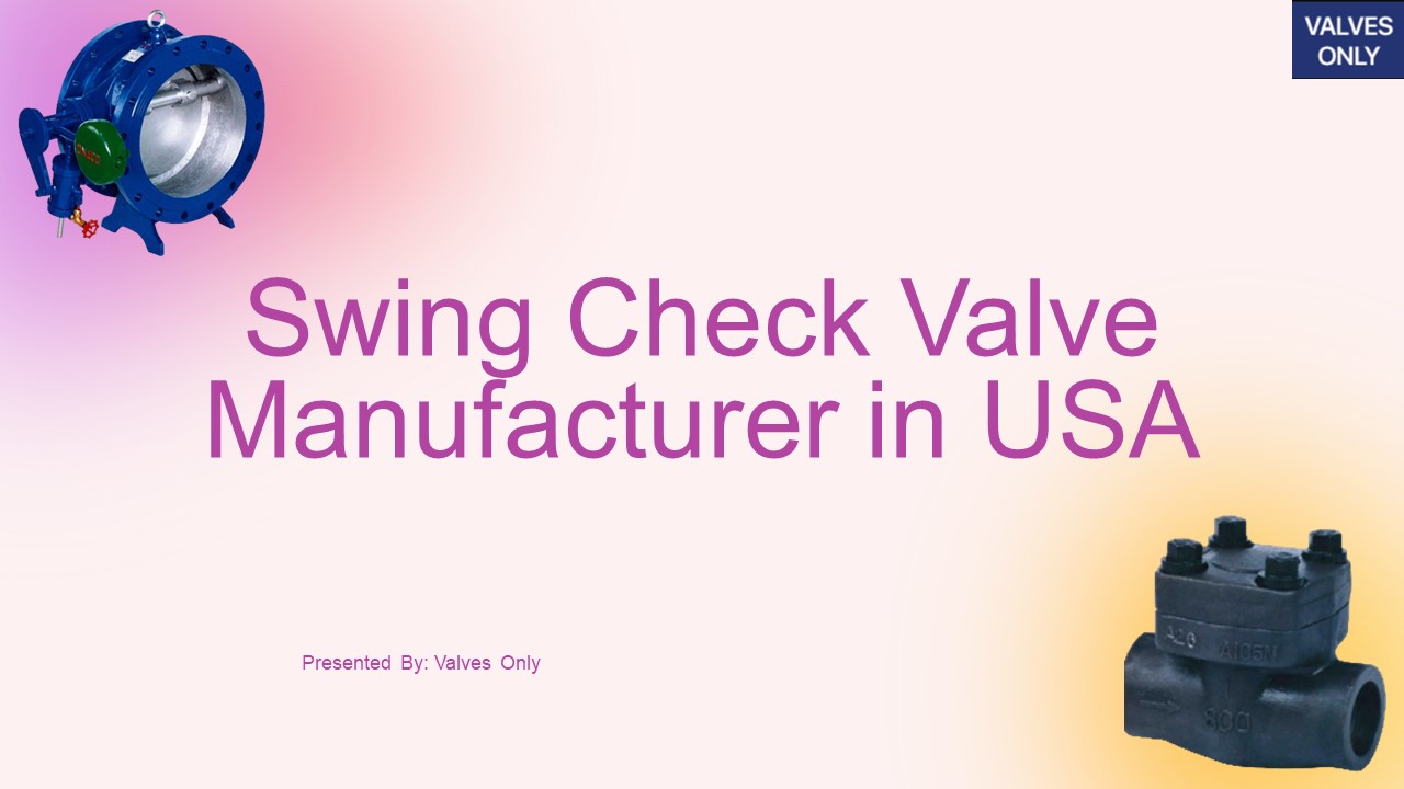 Swing Check Valve Manufacturer in USA