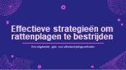 Ratten Bestrijden
