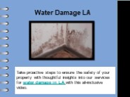 Water Damage LA