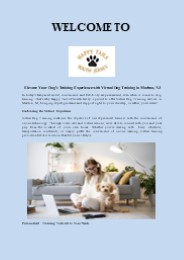 Virtual Dog Training Services in Marlton