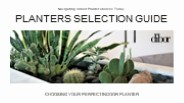 Comprehensive Guide to Choosing Indoor Planters