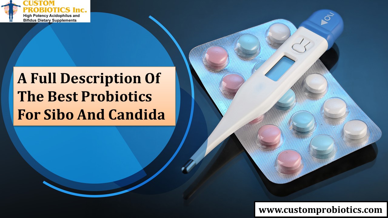 A Full Description Of The Best Probiotics For Sibo And Candida