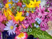 Jaro - Tavasz (Claire)