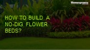 How to Build a No-Dig Flower Beds?