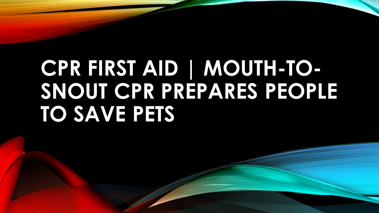 CPR First Aid | Mouth-to-snout CPR prepares people to save pets