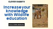 Increase your knowledge with Wildlife education