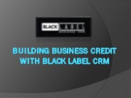 Building Business Credit with Black Label CRM