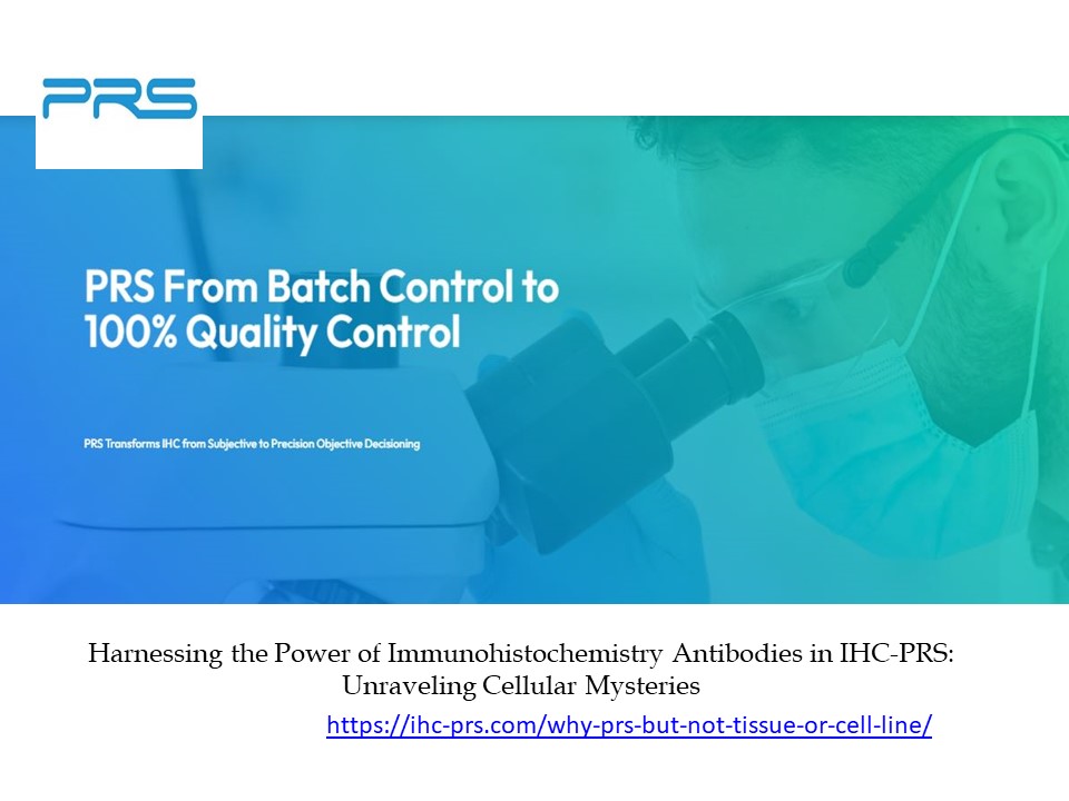 Harnessing the Power of Immunohistochemistry Antibodies in IHC-PRS: Unraveling Cellular Mysteries