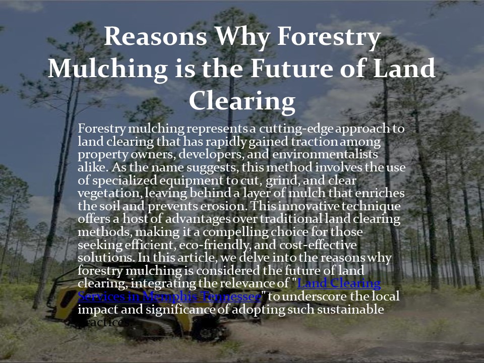 Reasons Why Forestry Mulching is the Future of Land Clearing ...