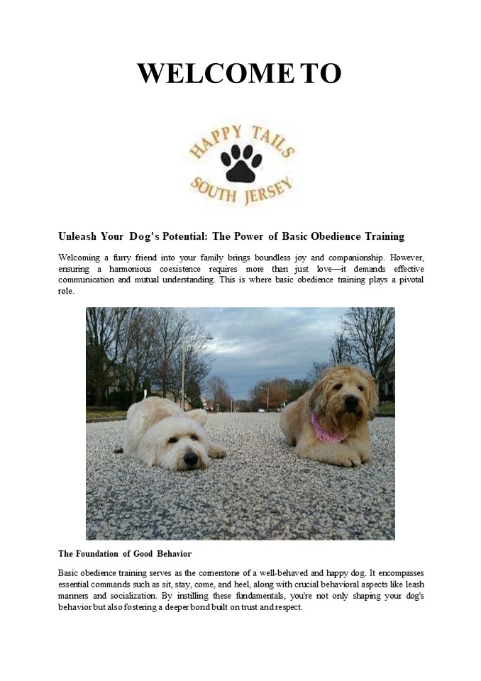 Building Bonds: Basic Obedience for Happy Tails