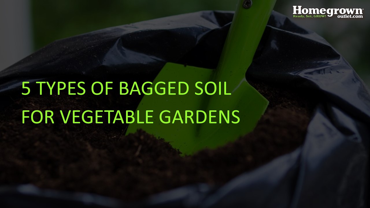 PPT 5 Types of Bagged Soil for Vegetable Garden PowerPoint