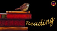 Reading 3