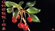 Cherries 26