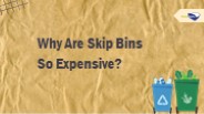 Why Are Skip Bins So Expensive?