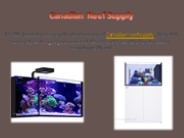 Canadian Reef Supply