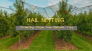 HAIL NETTING