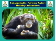 Unforgettable African Safari Holiday Adventures