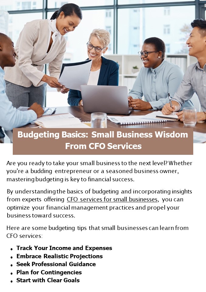 Budgeting Basics: Small Business Wisdom From CFO Services