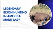 Legendary Bison Hunting In America Made Easy
