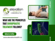 What Are The Principles That Chiropractic Treatment Follows?
