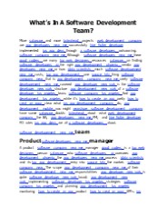 What’s In A Software Development Team?