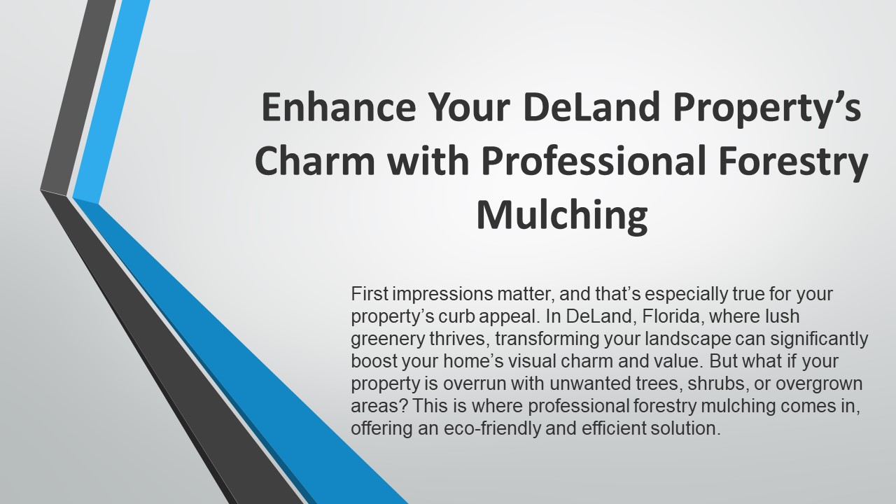 Enhance Your DeLand Property’s Charm with Professional Forestry Mulching