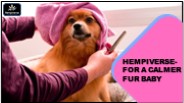 HEMPIVERSE- FOR A CALMER FUR BABY (1)