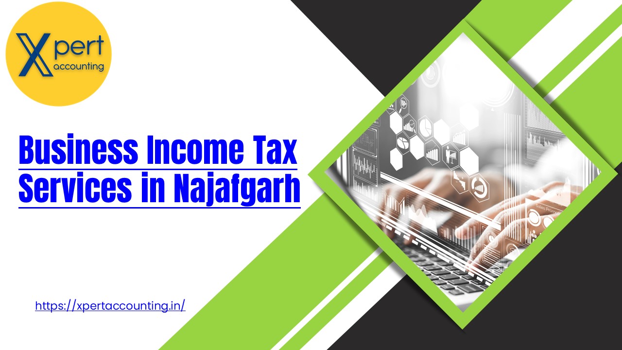 Business Income Tax Services in Najafgarh