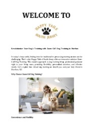 Zoom Call Dog Training Marlton NJ