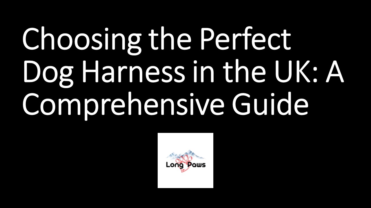 Choosing the Perfect Dog Harness in the UK: A Comprehensive Guide