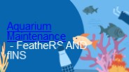 Aquarium Maintenance