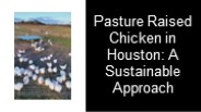 High Quality Pasture Raised Chicken in Houston