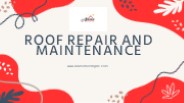 Roof Repair and Maintenance