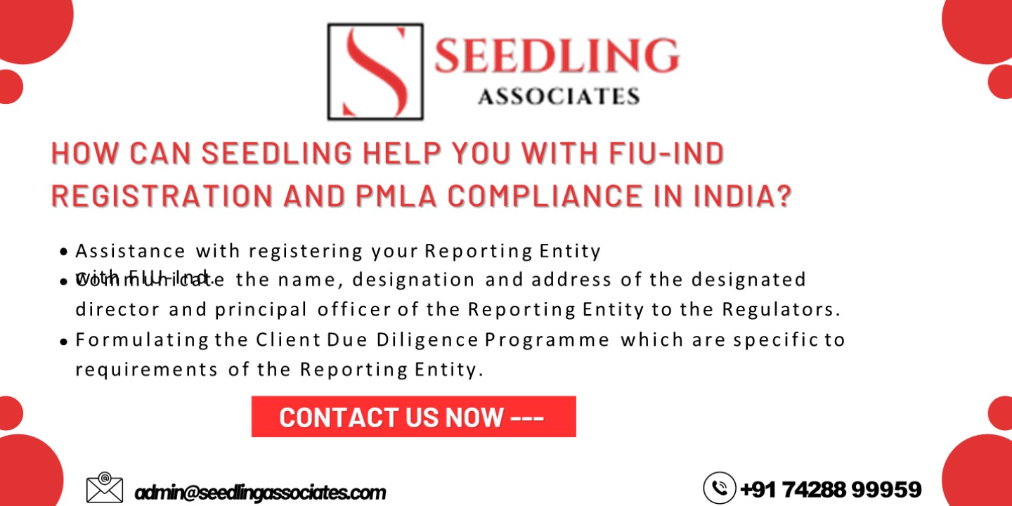 How Seedling Associates help you with FIU-IND