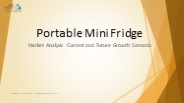 Portable Mini Fridge