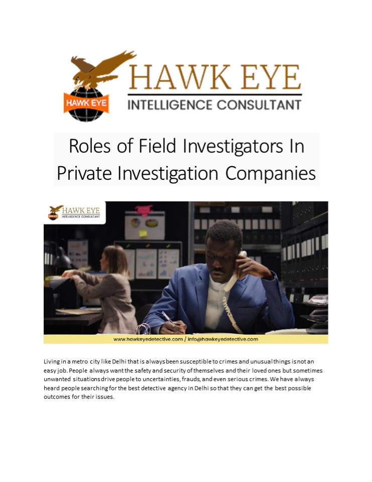 Private Investigation Agency Wisdom: Lessons from Hawkeye Detective
