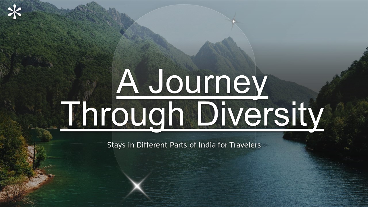 A Journey Through Diversity