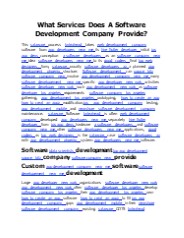 What Services Does A Software Development Company Provide?
