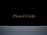 Pleural Cavity