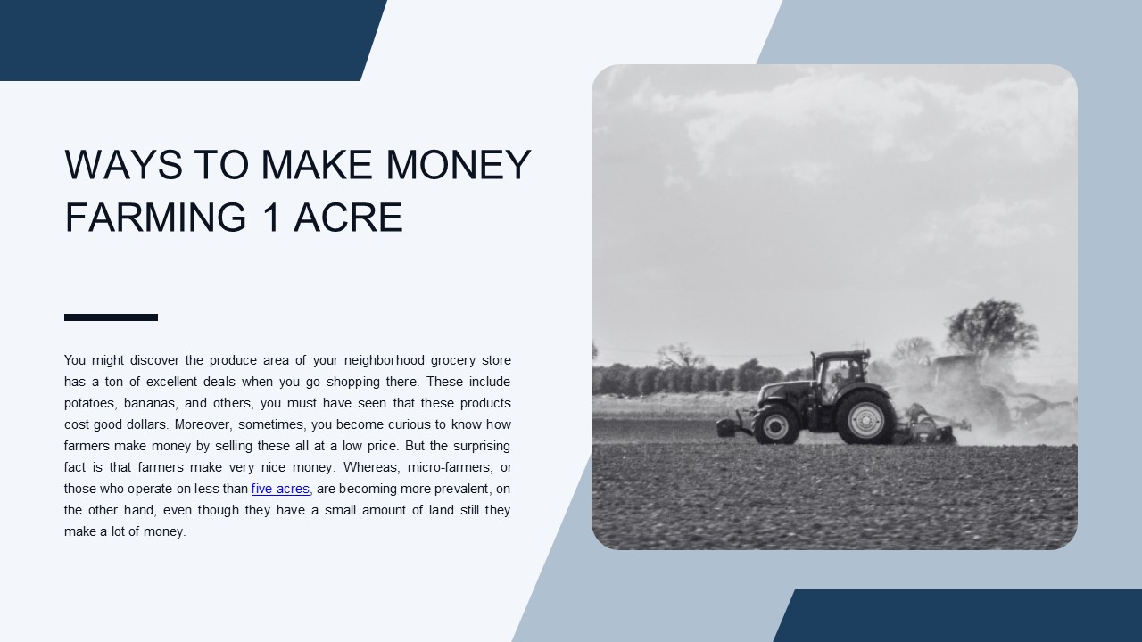 WAYS TO MAKE MONEY FARMING 1 ACRE presentation | free to download