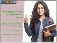 Assignment help in Massachusetts
