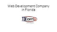Web Development Company in Florida