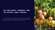 OUR HAPPY CLIENTS: EXPERIENCES FROM OUR TIRUTTANI MANGO FARMLAND